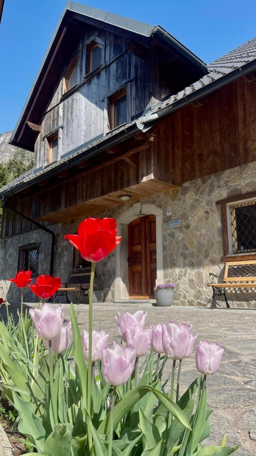 4 Elements Resort Bled Bohinjska Bela Exterior photo